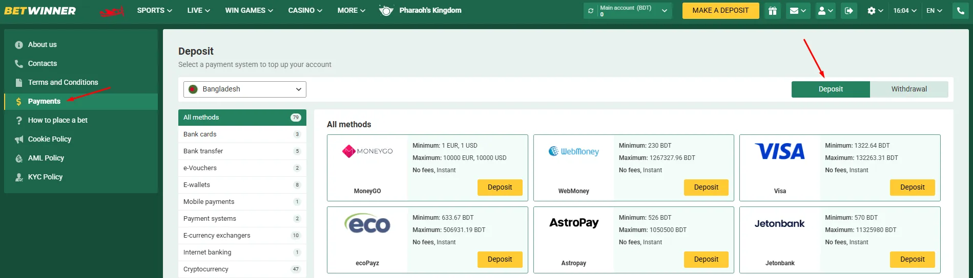 Payment Methods Options Available