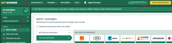 Effectuer dépôt paris IPL