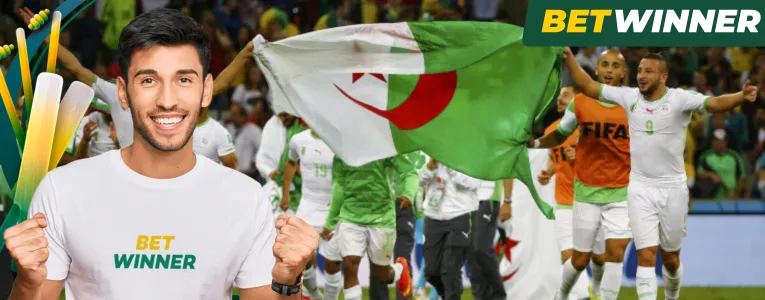 Tools Services Algerian Bettors