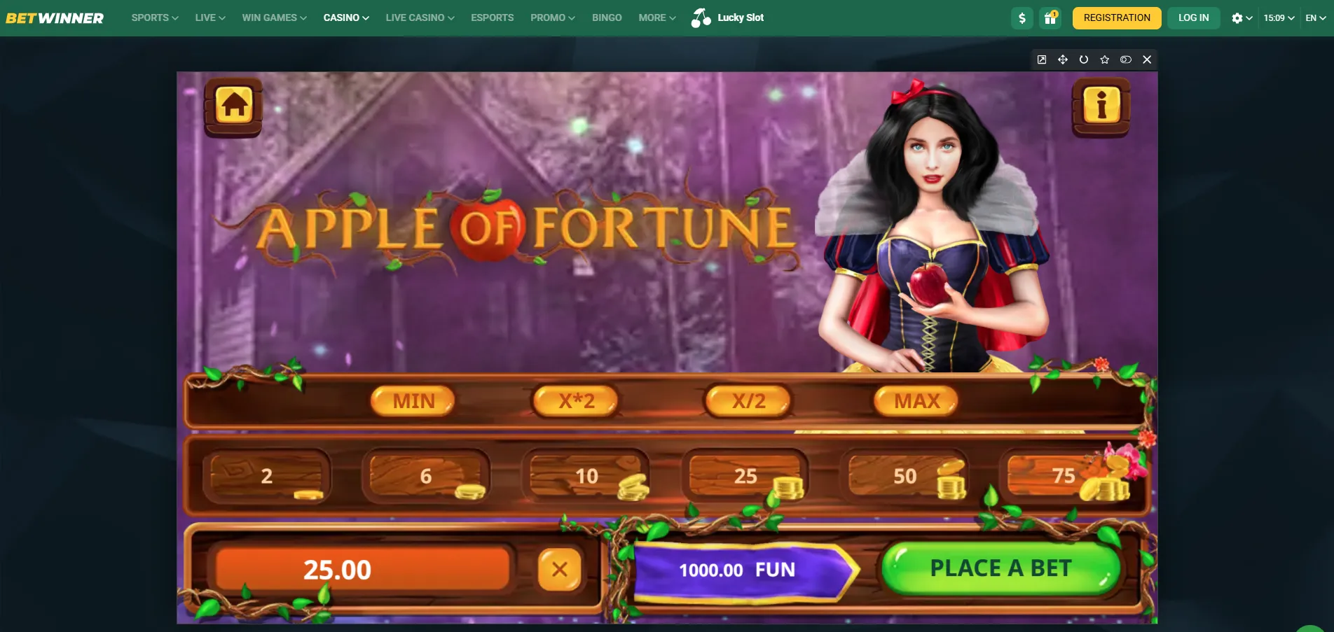 Betting Options and Interface