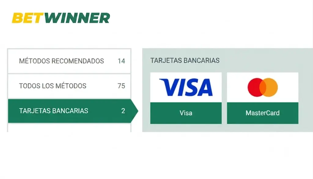 Guías detalladas para cada método de pago.