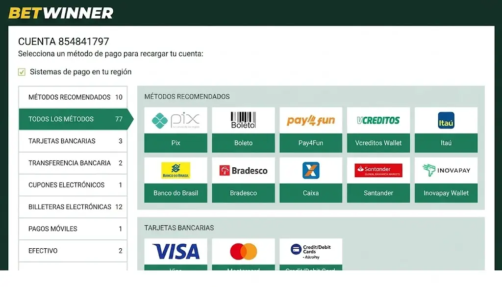 Descripción general de los sistemas de pago de Betwinner