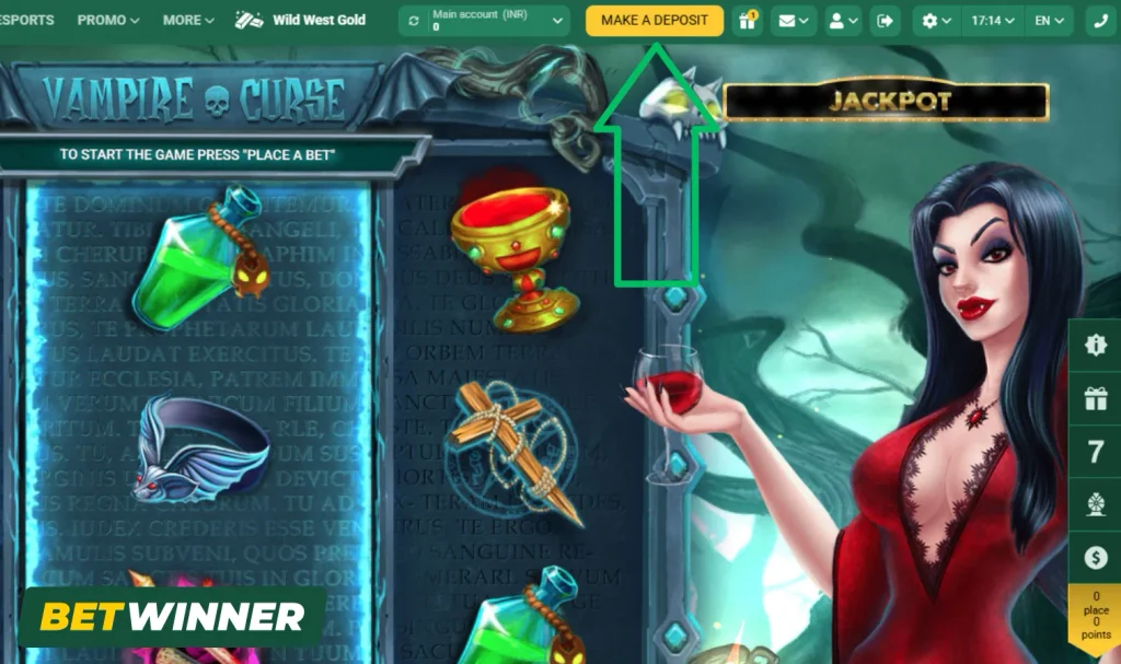 Making a Deposit BetWinner