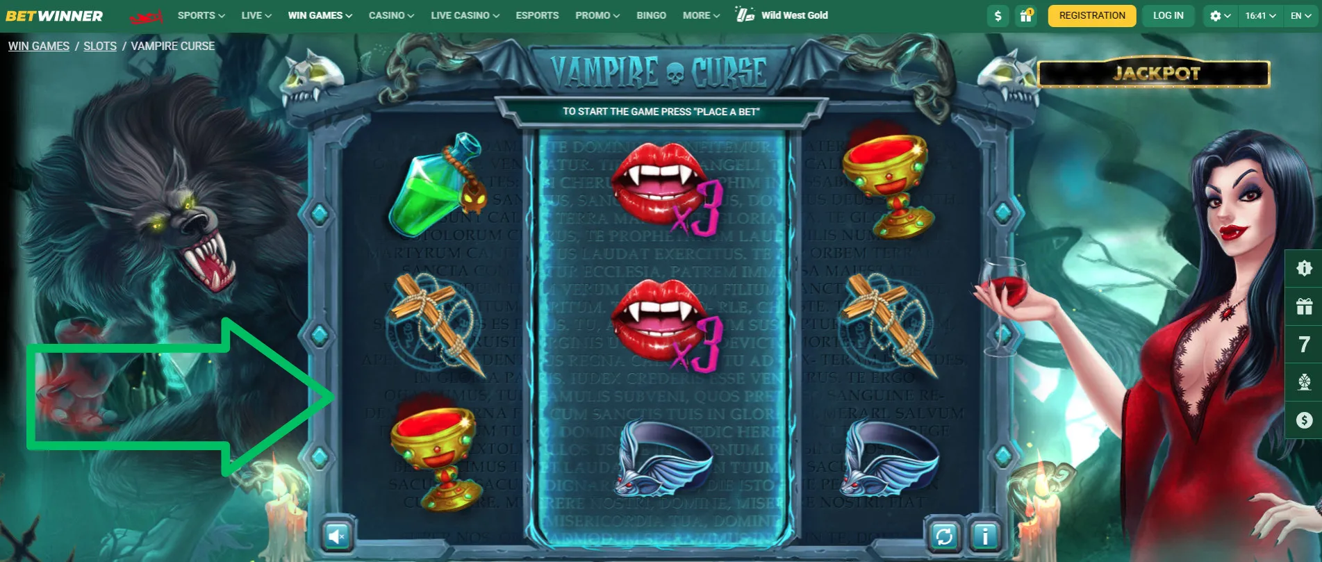 Vampire Curse Features game